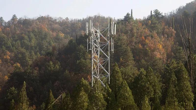1密林深處，豎立起格外醒目的移動4G基站.jpg