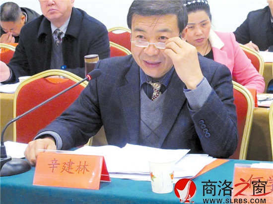 市人大代表辛建林參加丹鳳代表團審議《政府工作報告》時建議，把城市規劃放在更加重要的位置，做好棚戶區改造工作，加強對群眾建房的規劃和管理。      （見習記者 董 楠 攝）